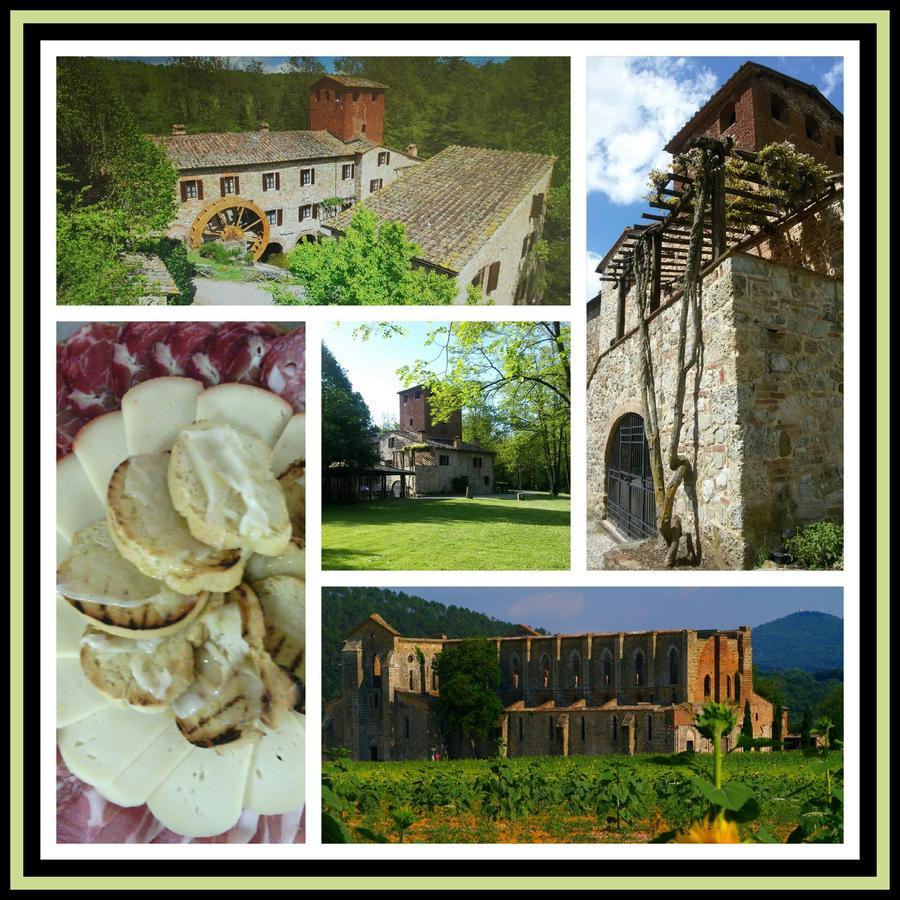 Agriturismo Il Mulino Delle Pile Chiusdino Exterior photo